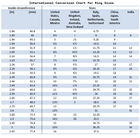 Morgan Dollar Patchwork Ring-NORTH WORKS-UNTOUCHED IDENTITY